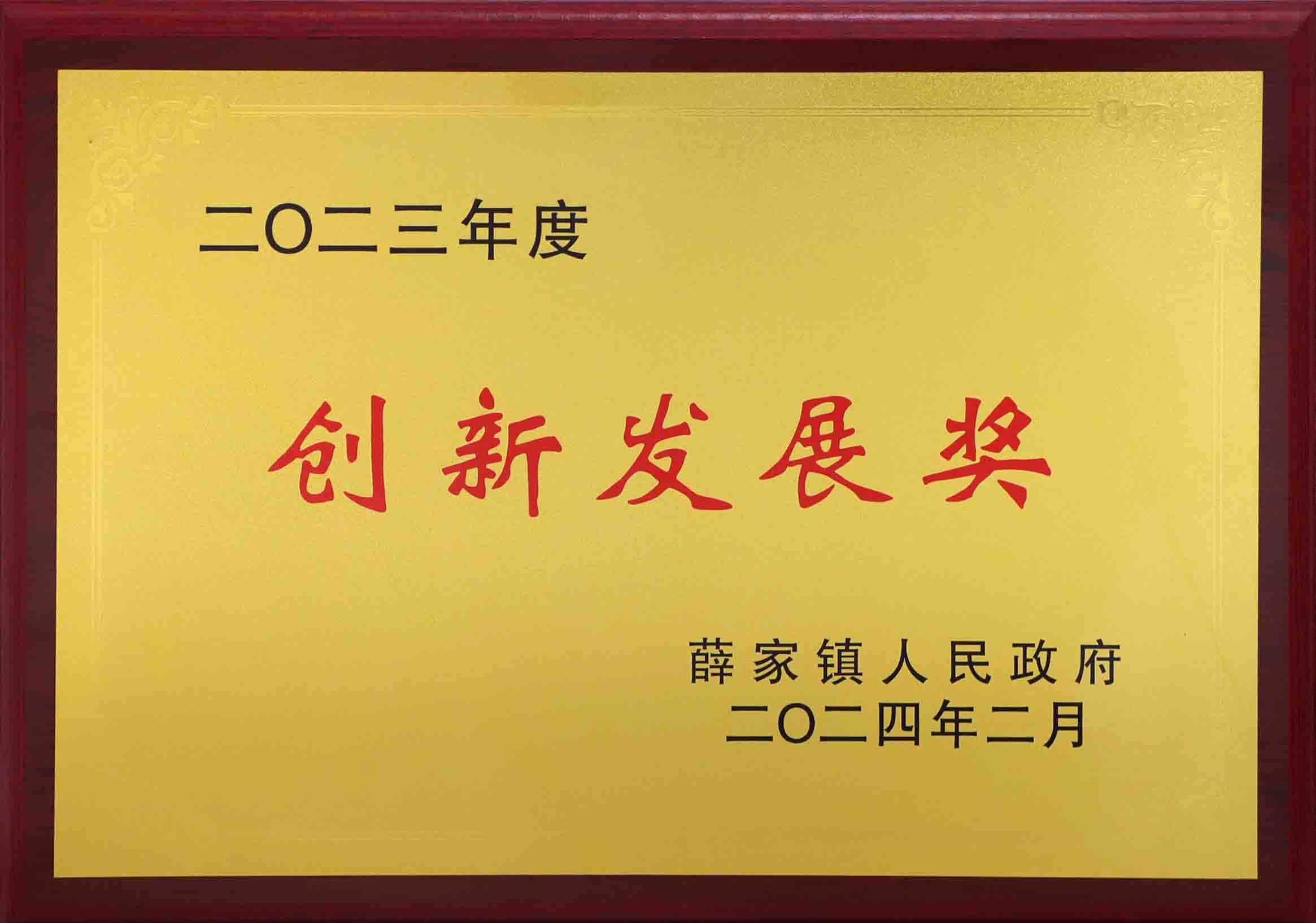 创新发展奖.jpg